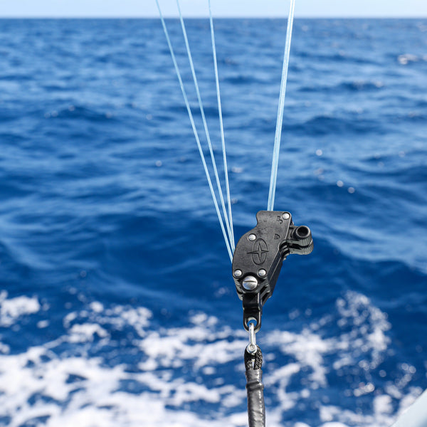 Double  500lb GEMLOX with Heavy Duty Custom Rope