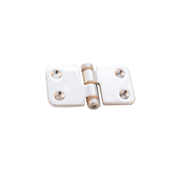 Friction Hinge 2.86"x1.5" SD